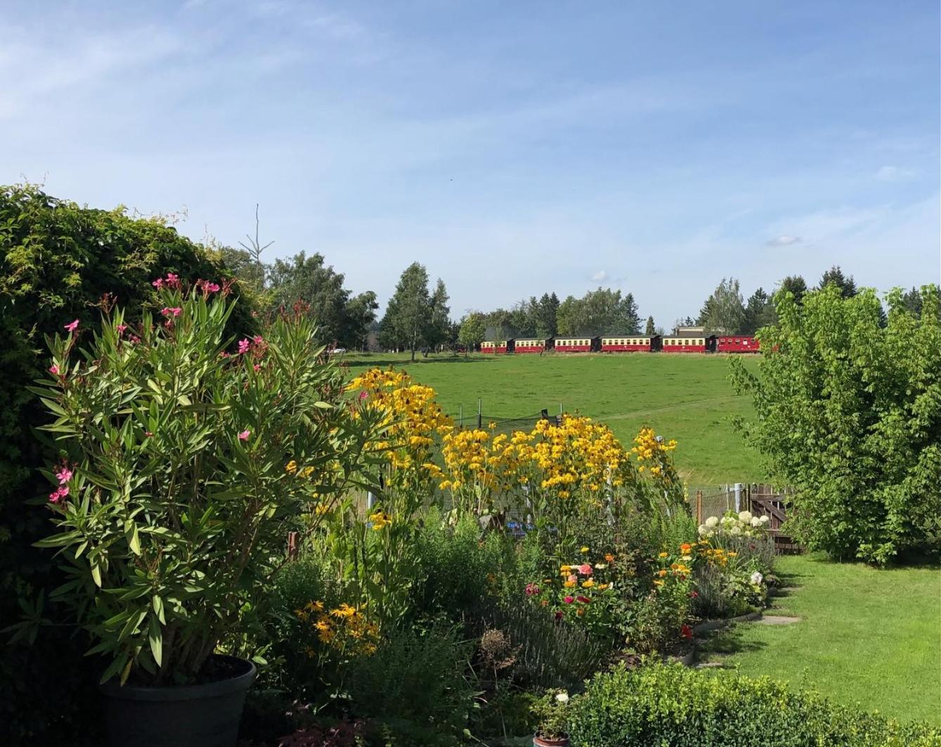 Ferienwohnung Harzquerbahnblick Benneckenstein Exterior foto